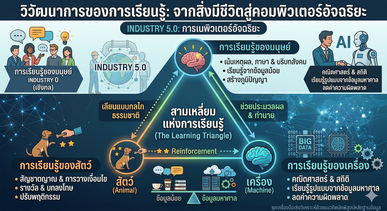 สามเหลี่ยมแห่งการเรียนรู้ (Human-Animal-Machine) (ภาพสร้างโดย Google Gemini)